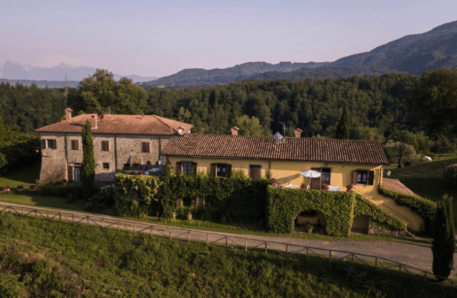 Boutique Winery Tour & Tasting in North Tuscany - The Wines and Food Pairings