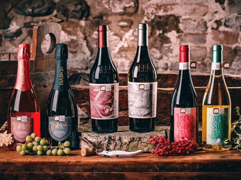 Boutique Winery Visit & 5 Organic Wine Tastings near Urbino - Who Will Love This Tour?