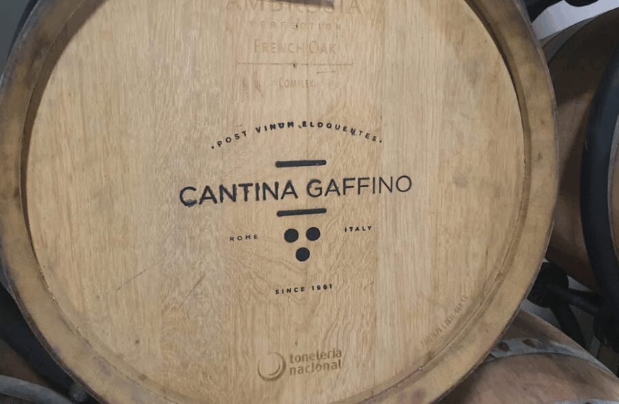 Boutique Winery Visit & Tasting near Rome - Value and Practical Considerations