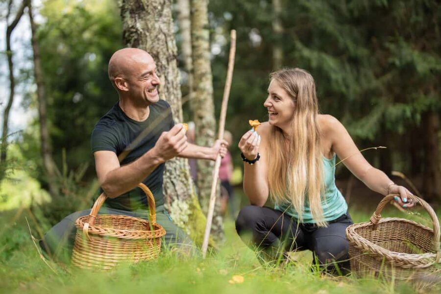 Bovec: It Smells Like Mushrooms - The Experience in Detail