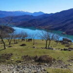 Bovilla Lake, Hiking and Swimming, Day Tour - Who Is This Tour Best For?