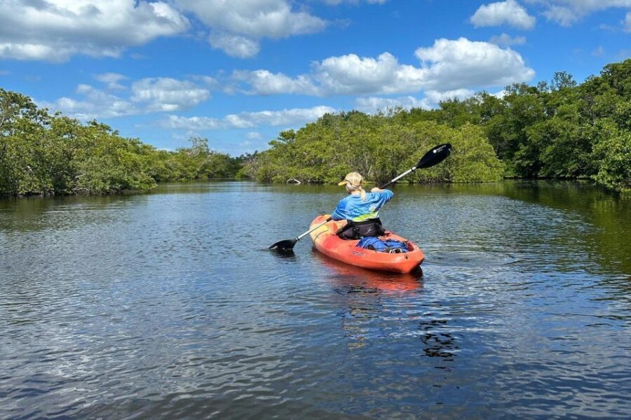 Bradenton: Anna Maria Island Guided Kayaking Manatee Tour - Detailed Breakdown of the Experience