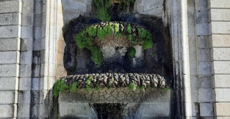 Braga and Guimarães Historical and Cultural Tour from Porto - Authentic Traveler Feedback