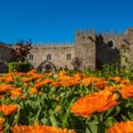 Braga & Guimarães day tour from Porto - The Value of the Tour