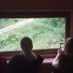 Braov: 4-Hour Bear Watching Tour in Carpathian Mountains - The Value and Pricing