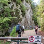 Braov: Private Piatra Craiului Hike to Curmatura Cabin - The Itinerary in Detail