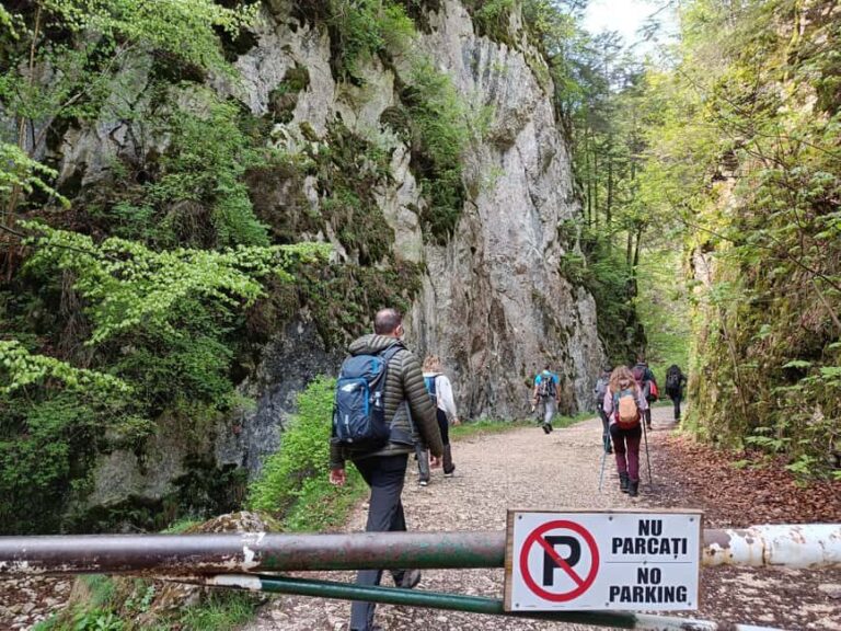 Braov: Private Piatra Craiului Hike to Curmatura Cabin - The Itinerary in Detail