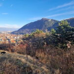 Braovs Secret Tastes & Stories - Final Thoughts