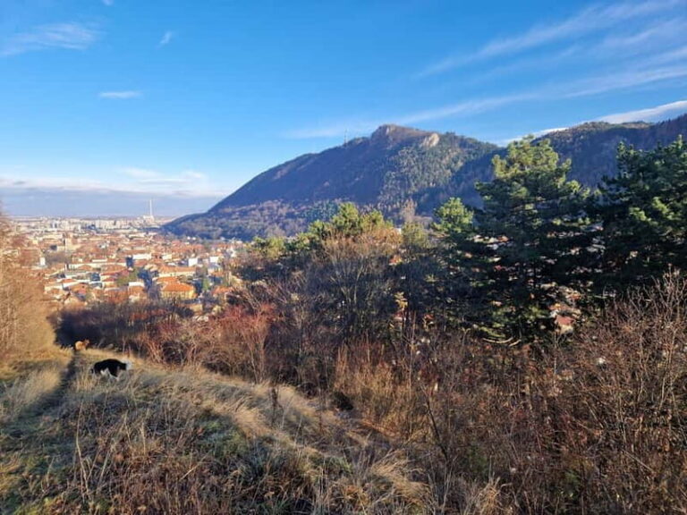 Braovs Secret Tastes & Stories - Final Thoughts