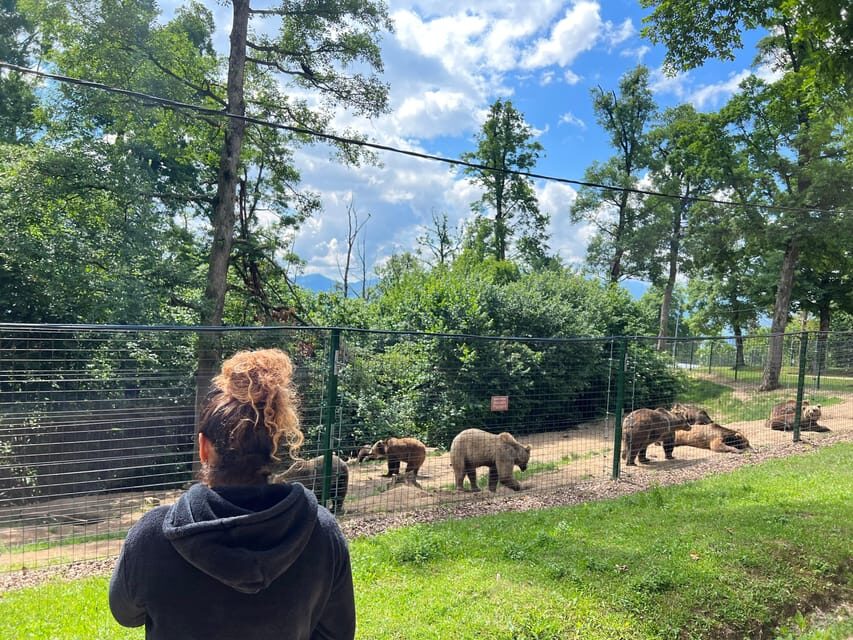 Brasov: Bran Castle, Bear Sanctuary, Rasnov (Peles Optional) - What Reviewers Say