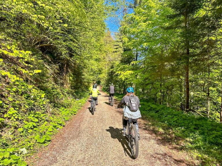 Brasov: eBike Tour to Poiana Brasov (Old Town & Forest) - What’s Included and How This Adds Value