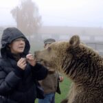 Brasov: Libearty Bear Sanctuary - Final thoughts