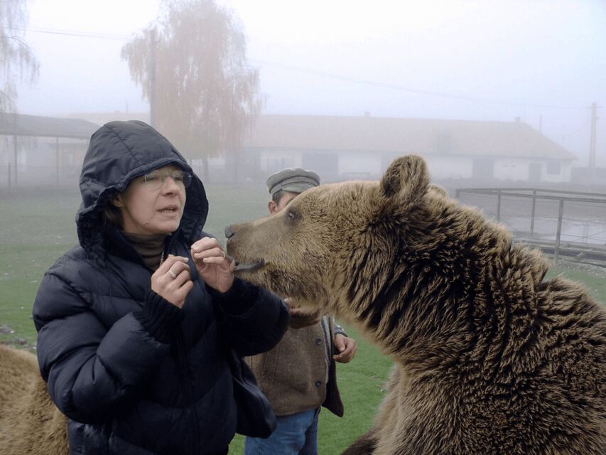 Brasov: Libearty Bear Sanctuary - Final thoughts