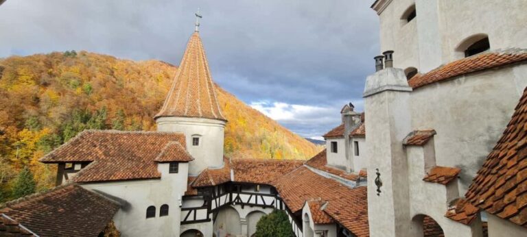 Brasov: Peles Castle, Bran Castle & Belvedere Viewpoint - Who Should Consider This Tour?