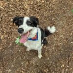 Brasov's Mountain Hike tour with Daisy - The Itinerary: What to Expect