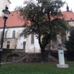 Bratislava: Old Town and Castle Walking Tour - The Highlights in Detail