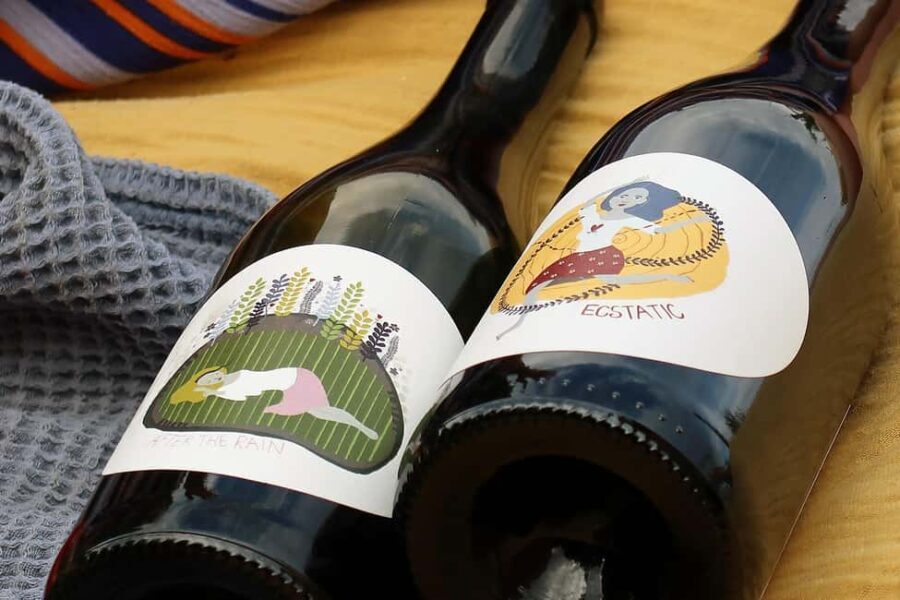 Bratislava: Vineyard Walk and Wine Picnic with Winemaker - FAQ