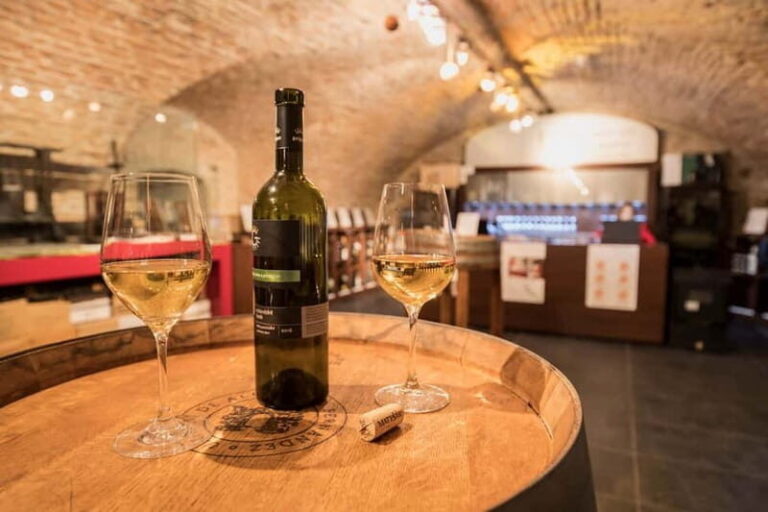 Bratislava: Wine Tasting with Sommelier - The Different Tasting Options and What They Mean for You