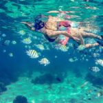 Breathtaking experience driving a speedboat in Cancun with Snorkeling included - What’s Included and What’s Not