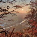 Bregenz: Hiking - What’s Included and What to Prepare