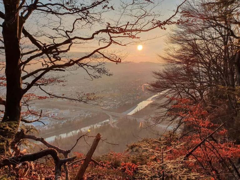 Bregenz: Hiking - What’s Included and What to Prepare