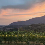 Brescia: Day trip to Botticino, new historical winetasting - Starting Point and Arrival