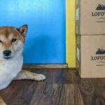 Brewery Tour - What Makes This Tour Stand Out?