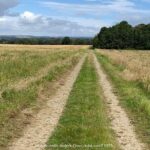 Bridgerton-Themed Castle Howard: Private Day Trip from York - Value for Money and Overall Impression