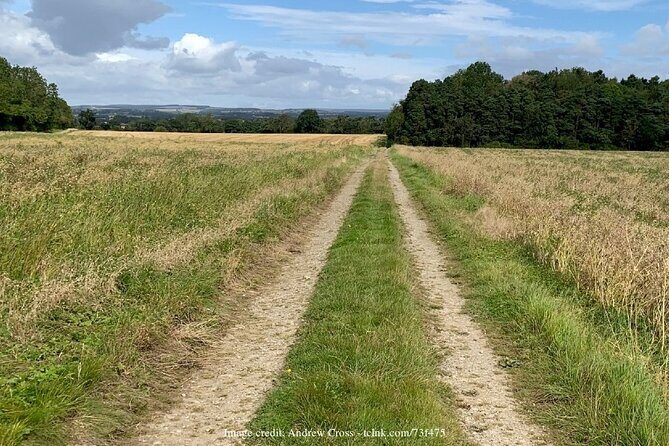 Bridgerton-Themed Castle Howard: Private Day Trip from York - Value for Money and Overall Impression