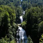 Brienz, Iseltwald, Giessbach Falls Tour - The Details That Matter