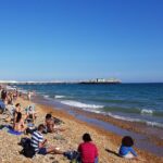 Brighton and White Cliffs private tour from London - What Travelers Are Saying
