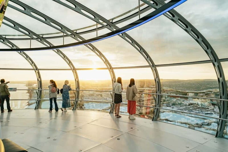 Brighton: Brighton i360 Ticket - The Views and Why They Matter