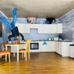 Brighton: Upside Down House Entry Ticket - A Closer Look at Brighton’s Upside Down House