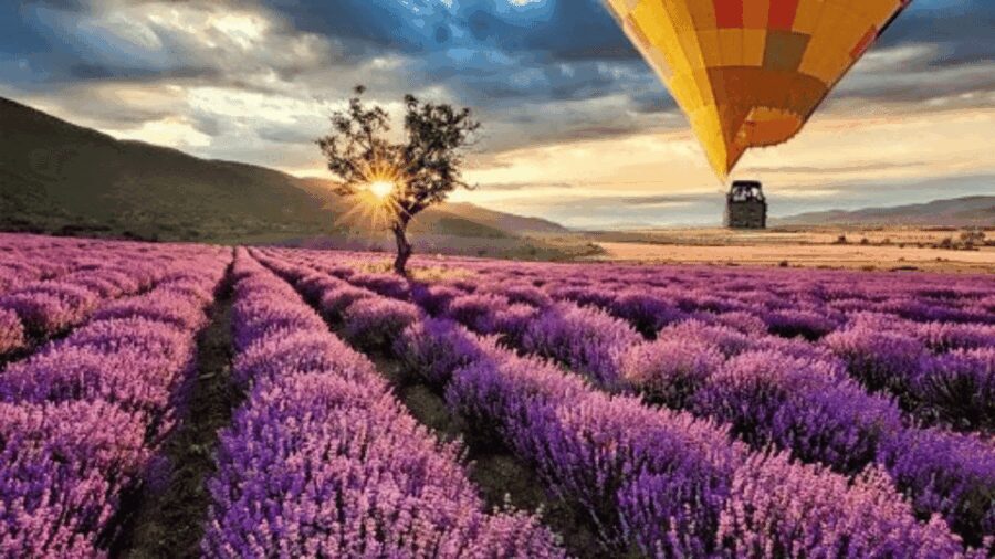Brihuega: Balloon Flight Above Lavender Fields - Final Thoughts: Is It Worth It?