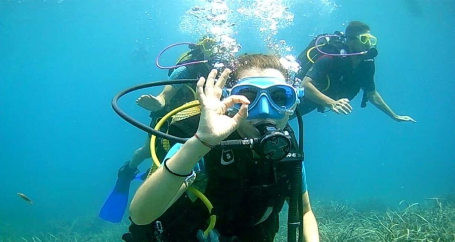 Brindisi: Underwater scuba diving - What Does the Experience Include?