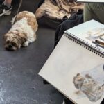 Bristol: Dog Life Drawing led by local Artist Cai Burton - The Variety of Dogs