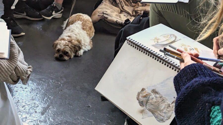 Bristol: Dog Life Drawing led by local Artist Cai Burton - The Variety of Dogs