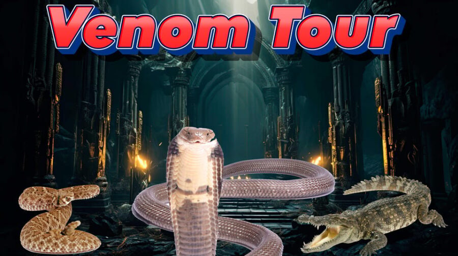 Bristol: Venomous Snake Tour w/ Guide & Croc Photo - Who Is This Tour Best For?