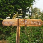 Bristol: Wine and Cider Tour with Tastings - Who Will Love This Tour?