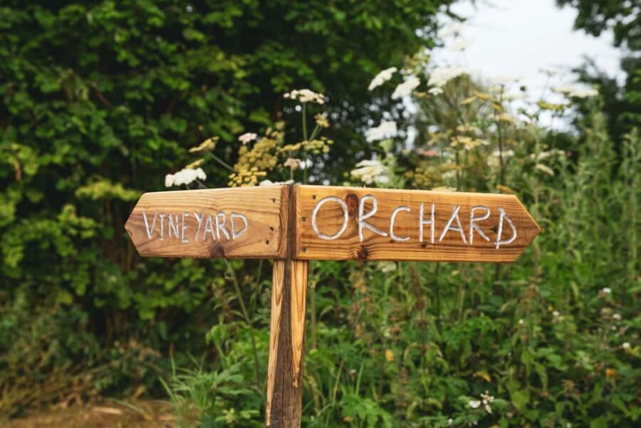 Bristol: Wine and Cider Tour with Tastings - Who Will Love This Tour?