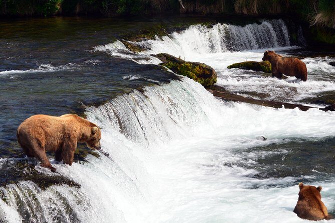 Brooks Falls Katmai Bear Viewing in a Float Plane - The Experience of Watching Bears at Brooks Falls