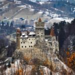 Brown Bear Sanctuary, Bran Castle & Rasnov Fortress Day Tour - Who Is This Tour Perfect For?