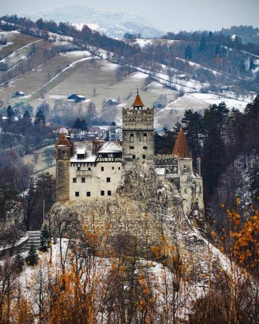 Brown Bear Sanctuary, Bran Castle & Rasnov Fortress Day Tour - Who Is This Tour Perfect For?