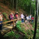 Brown Bears in the wild, no fence - The Logistics: How It Works