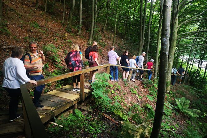 Brown Bears in the wild, no fence - The Logistics: How It Works