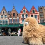 Bruges & Ghent Private tour from Paris with Tastings - A Closer Look at the Tour