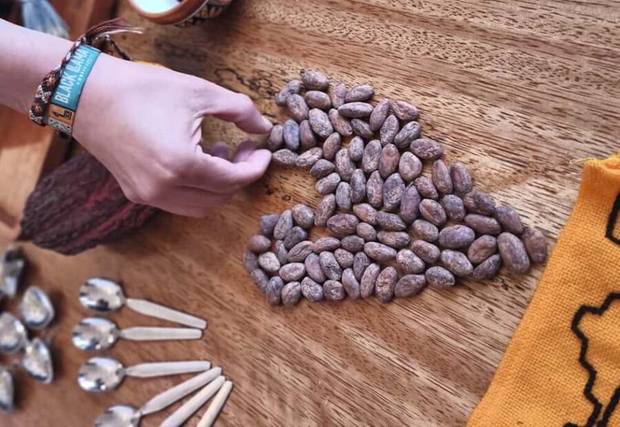 Brussels: 1h-Bean-to-Bar Chocolate Making Workshop
