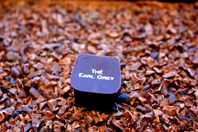 Brussels Beer and Chocolate Walking Tour - The Realities of the Experience