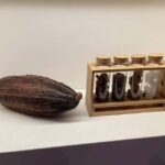 Brussels: Chocolate Appreciation and Tasting Walking Tour - Who Will Love This Tour?