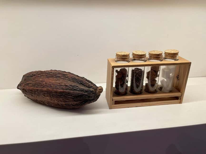 Brussels: Chocolate Appreciation and Tasting Walking Tour - Who Will Love This Tour?